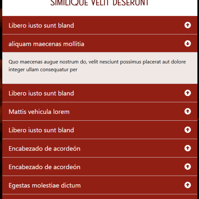 acordion con titulo | www.condrupal.com